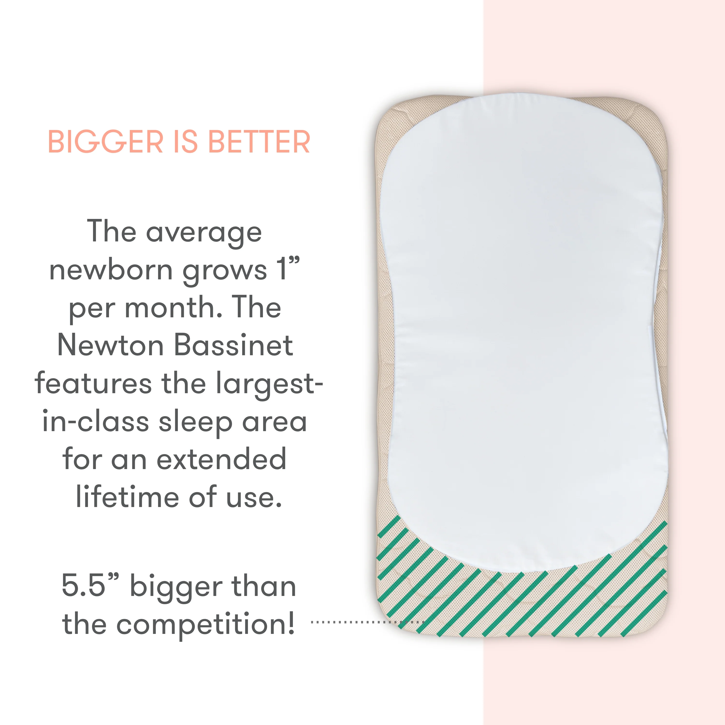 Essential Bassinet - Image 23