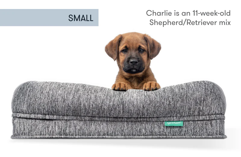 Washable & Orthopedic Pet Bed - Image 17